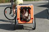 VELO - BIKE TRAILER 013